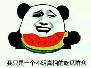 坐下吃瓜的评论,揭秘网络热评背后的故事